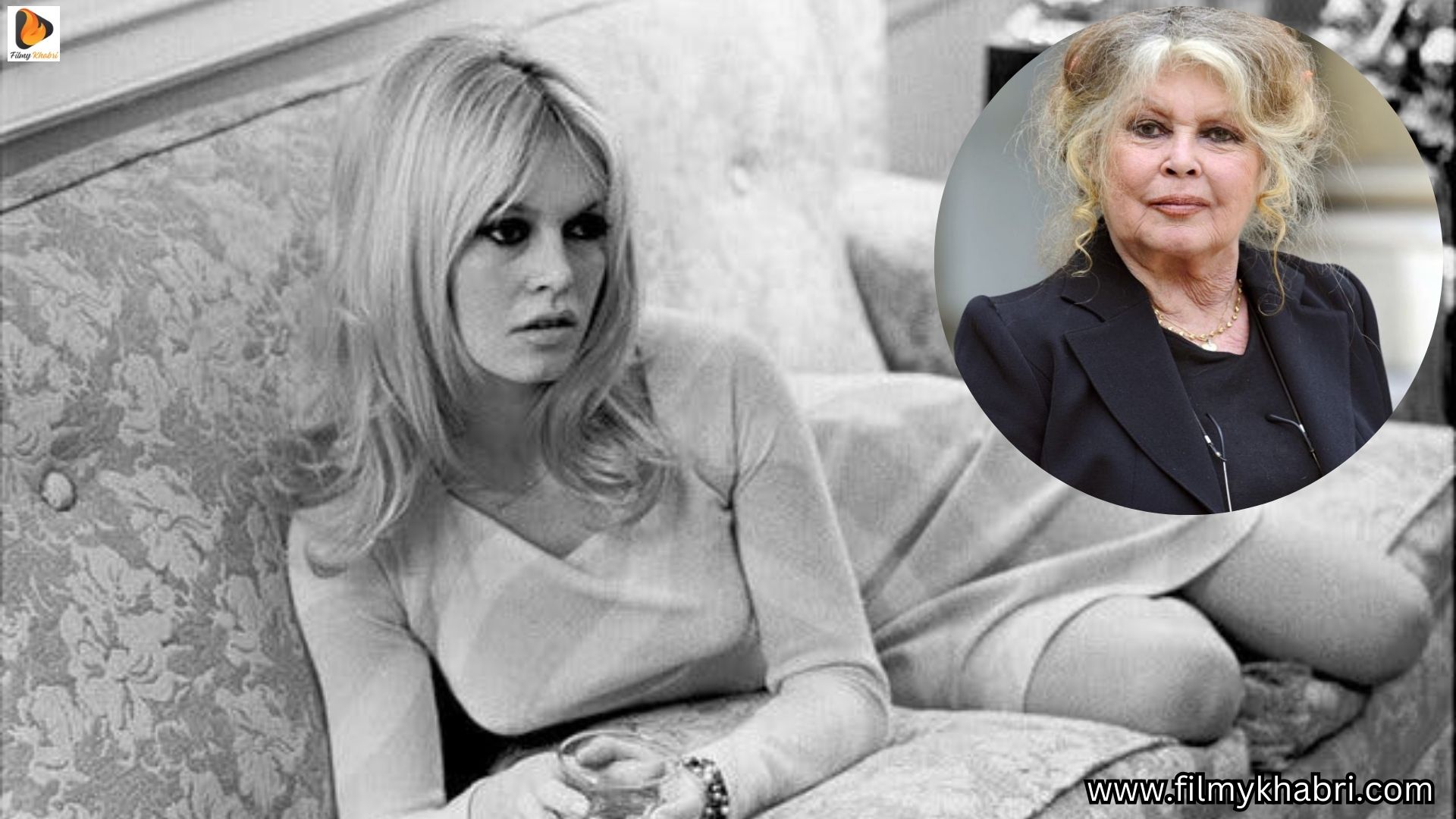 Farewell to a Timeless Icon: Brigitte Bardot Passes Away at 91